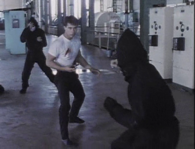 Jason Blade, kung fu, trenchard-smith, Day of the Panther, Strike of the Panther, Edward Stazek